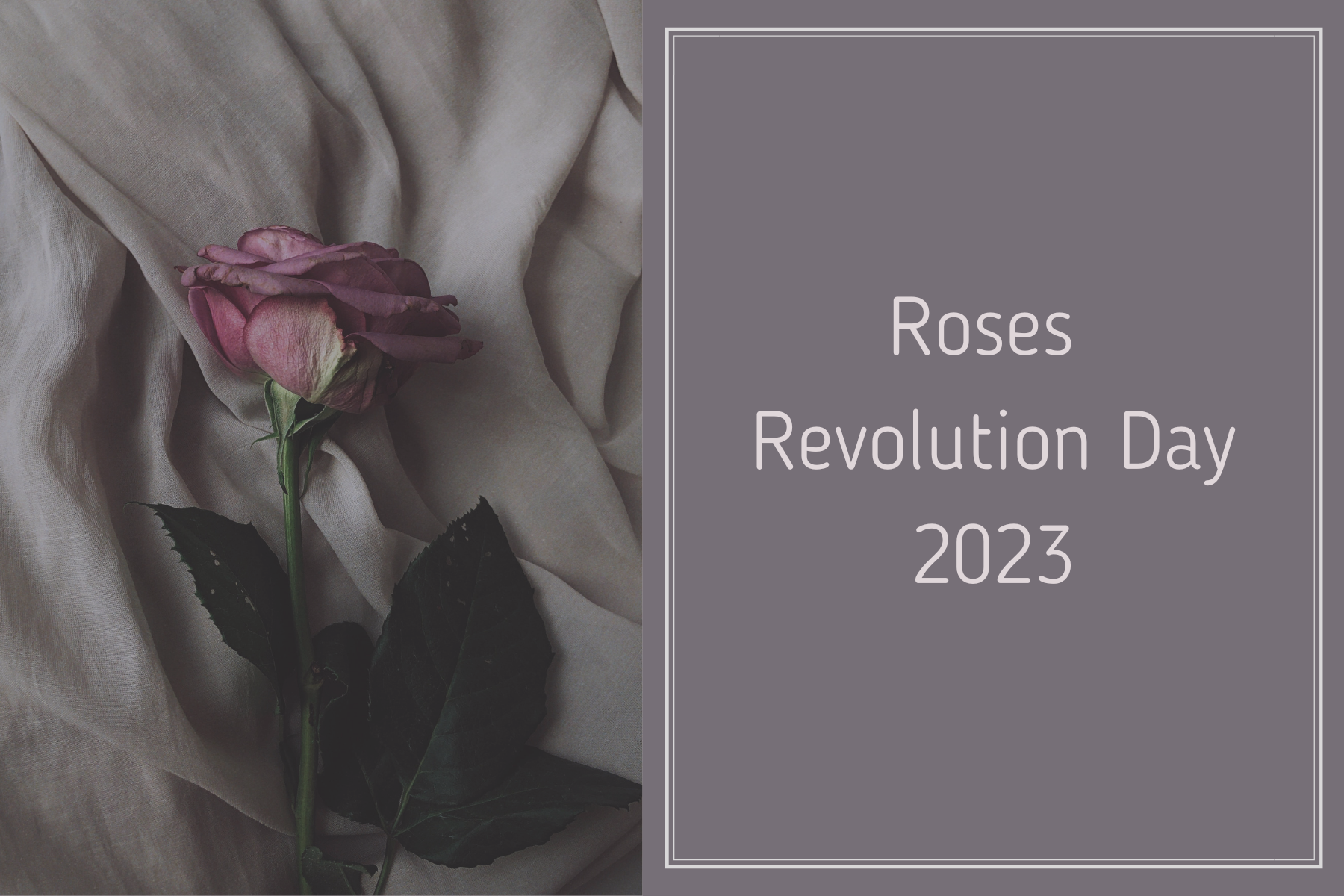 Roses Revolution Day 23